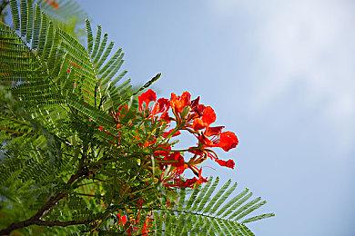 《缄默祸运》销量突破30万份 好评如潮